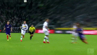 向的持续见 向的持续见