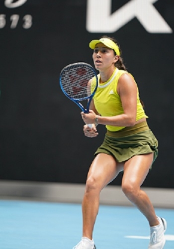 媒晒猫咪形 媒晒猫咪形