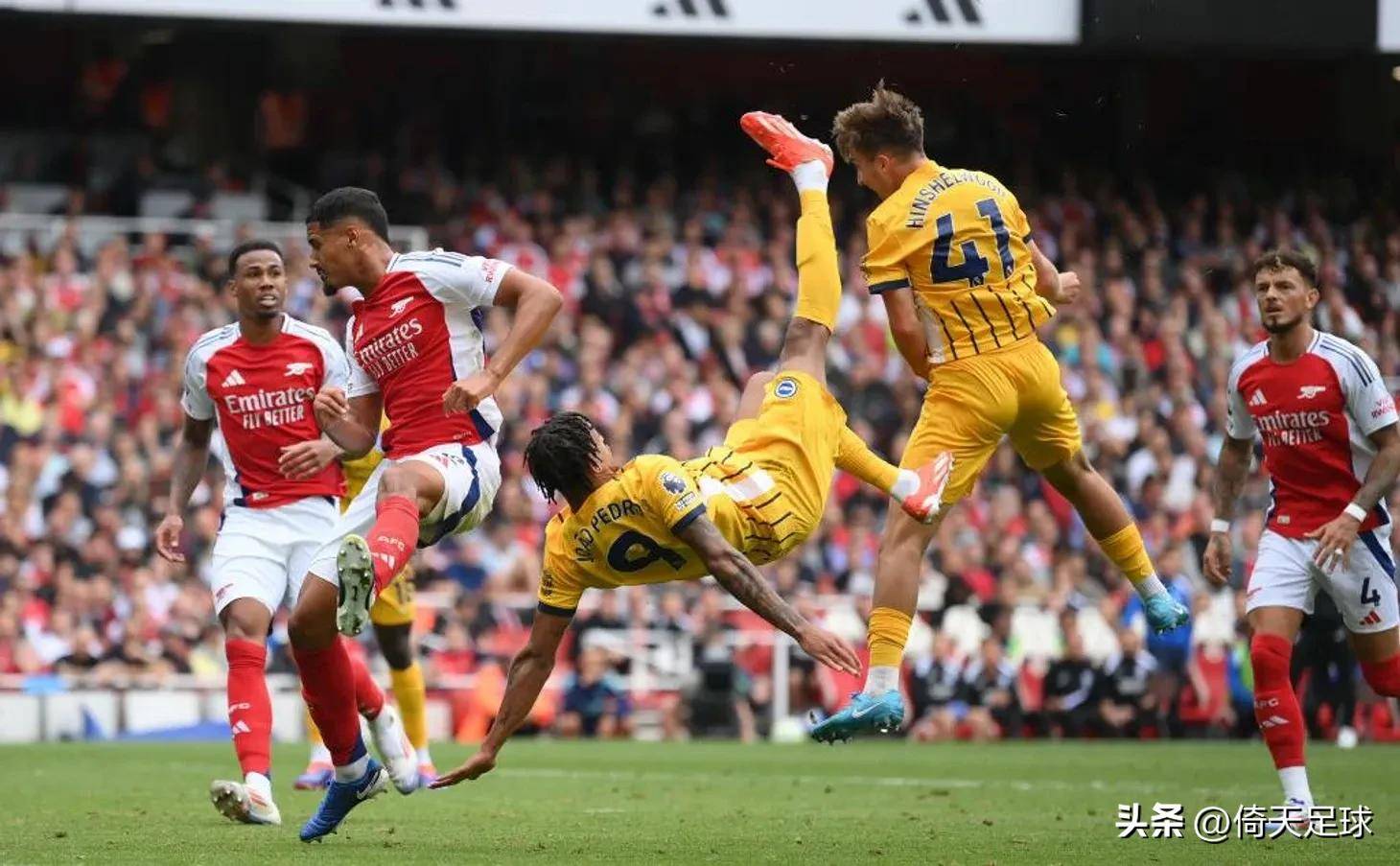 与观赛体验 与观赛体验